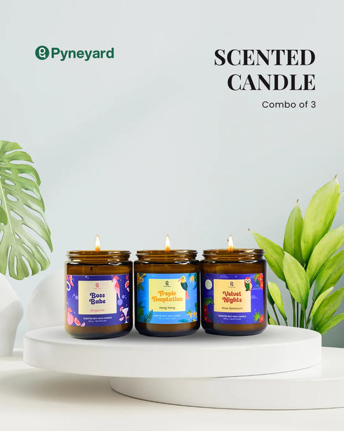 A Trip to Bali | Combo of 3 Amber Jar Scented Candles (Ylang Ylang + Rose Geranium + Bergamot)
