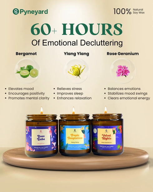 A Trip to Bali | Combo of 3 Amber Jar Scented Candles (Ylang Ylang + Rose Geranium + Bergamot)