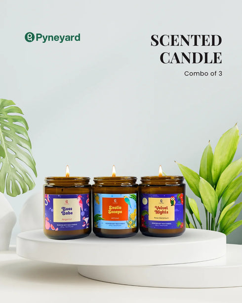 Almost Friday | Combo of 3 Amber Jar Scented Candles (Bergamot + Yellow Mimosa + Rose Geranium)