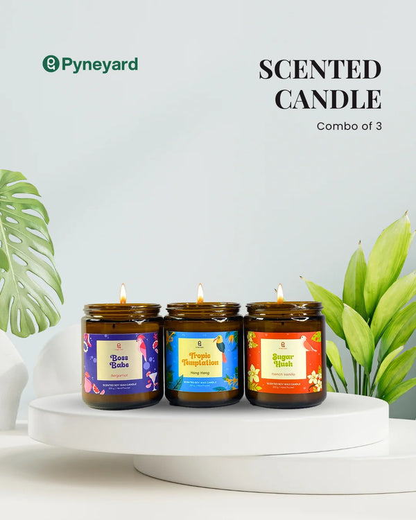 Lazy Logout | Combo of 3 Amber Jar Scented Candles (Bergamot + Ylang Ylang + French Vanilla)