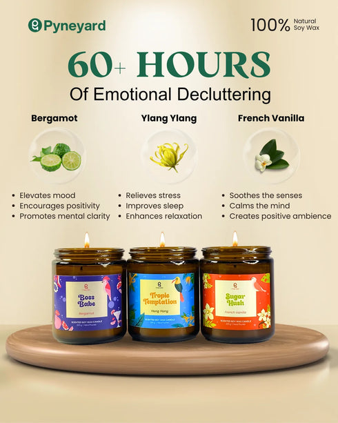 Lazy Logout | Combo of 3 Amber Jar Scented Candles (Bergamot + Ylang Ylang + French Vanilla)