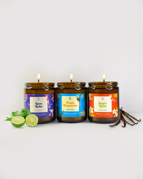 Lazy Logout | Combo of 3 Amber Jar Scented Candles (Bergamot + Ylang Ylang + French Vanilla)