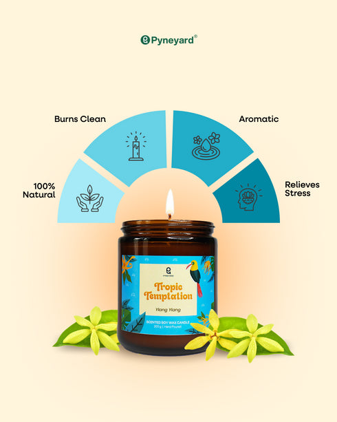 Tropic Temptation (Ylang Ylang) Natural Soy Wax Amber Jar Scented Candle