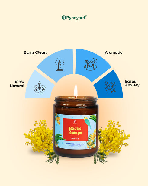 Exotic Escape (Yellow Mimosa) Amber Jar Natural Soy Wax Scented Candle