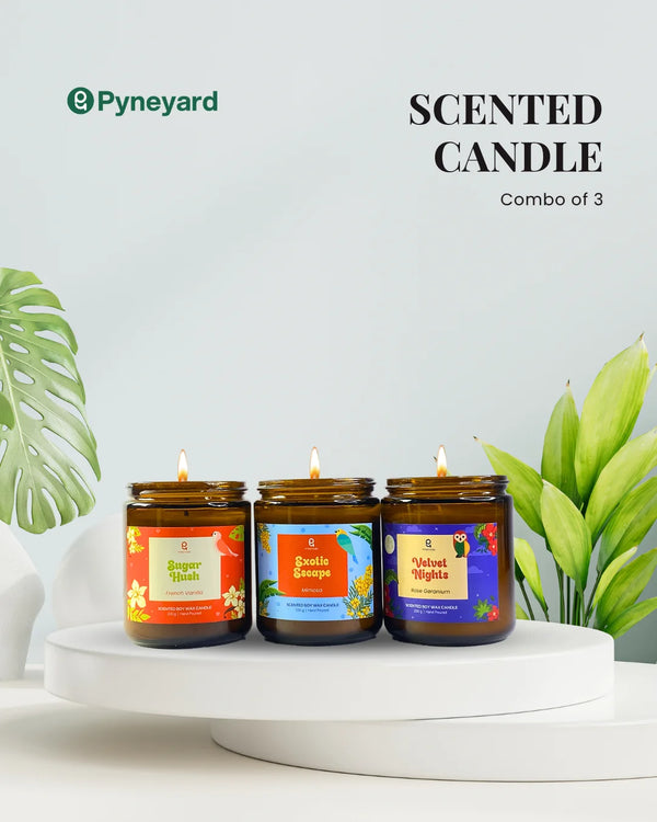 Pretty Little Baby | Combo of 3 Amber Jar Scented Candles (French Vanilla + Yellow Mimosa + Rose Geranium)