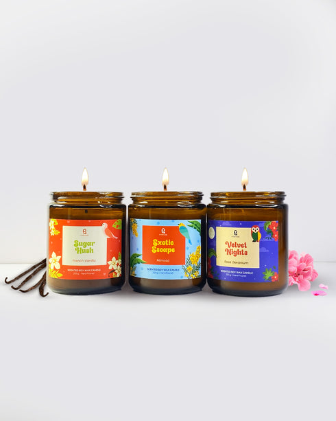 Pretty Little Baby | Combo of 3 Amber Jar Scented Candles (French Vanilla + Yellow Mimosa + Rose Geranium)