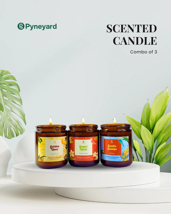 The Godfather | Combo of 3 Amber Jar Scented Candles (Sandalwood + French Vanilla + Yellow Mimosa)