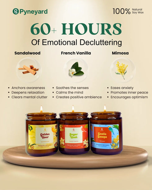 The Godfather | Combo of 3 Amber Jar Scented Candles (Sandalwood + French Vanilla + Yellow Mimosa)