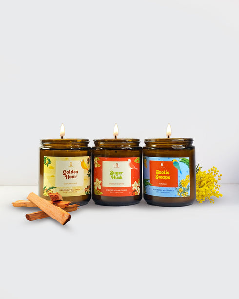 The Godfather | Combo of 3 Amber Jar Scented Candles (Sandalwood + French Vanilla + Yellow Mimosa)